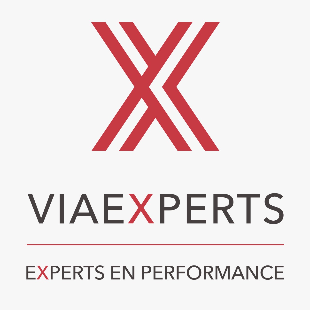 Logo Viaexperts